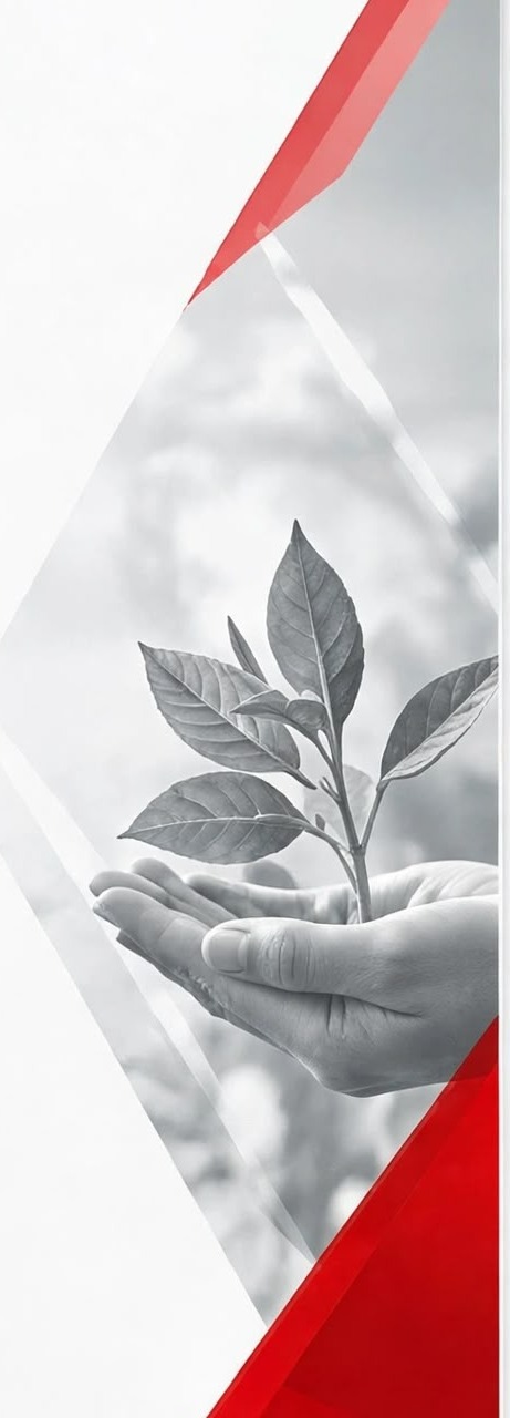 Environmental responsibility